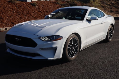 2019 Ford Mustang EcoBoost