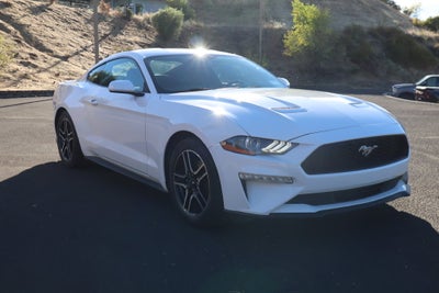 2019 Ford Mustang EcoBoost